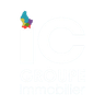 IC GROUPE