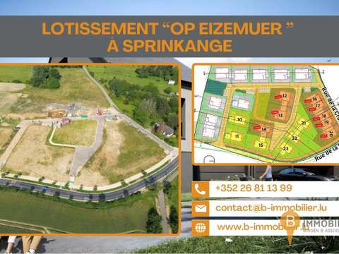 SPR-LOT-2025