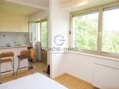 Appartement à louer à Luxembourg-Belair